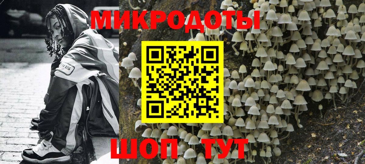 Галлюциногенные грибы GOLDEN TEACHER Ставрополь