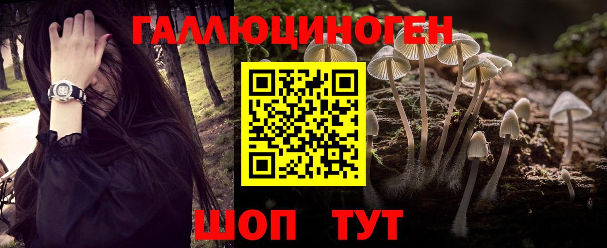 даркнет сайт  Вход с VPN  Ставрополь  Галлюциногенные грибы Psilocybine cubensis 